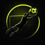 Goalkeeper Training