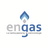 Engas APK