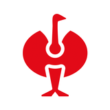 BIRD – Die STRAUSS Info-App aplikacja