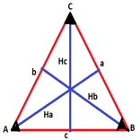 Triangle Calculate