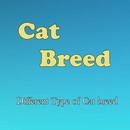 Cat breeds APK