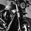 Harley Davidson Wallpapers icon