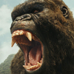 King Kong Sounds icon