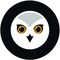 Owl Guardian