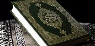 Koran Auswendiglernen