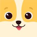 HeyEnglish - Learn English