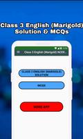 Class 3 English Solution постер