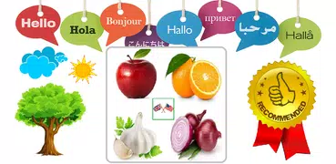 Vegetables and Fruits Vocabula