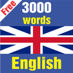 ”Top 3000 Us English Word