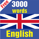 Top 3000 Us English Word APK