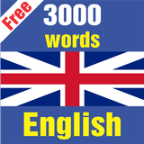 Top 3000 Us English Word icon