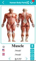Body Parts Name and Pictures Plakat