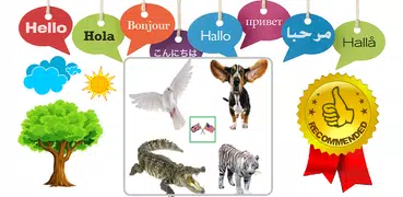 English Animals Vocabulary