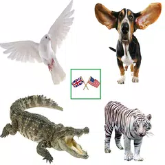 download English Animals Vocabulary XAPK