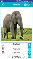 English Animals Vocabulary syot layar 2