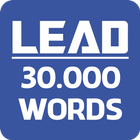 Lead 30000 Words FlashCards-icoon