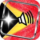 Tetun Portugues English APK