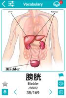 Japanese 5000 Words with Pictures Cartaz