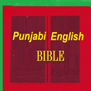 Punjabi Bible English Bible Parallel APK