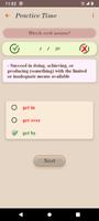 English Phrasal Verbs স্ক্রিনশট 3