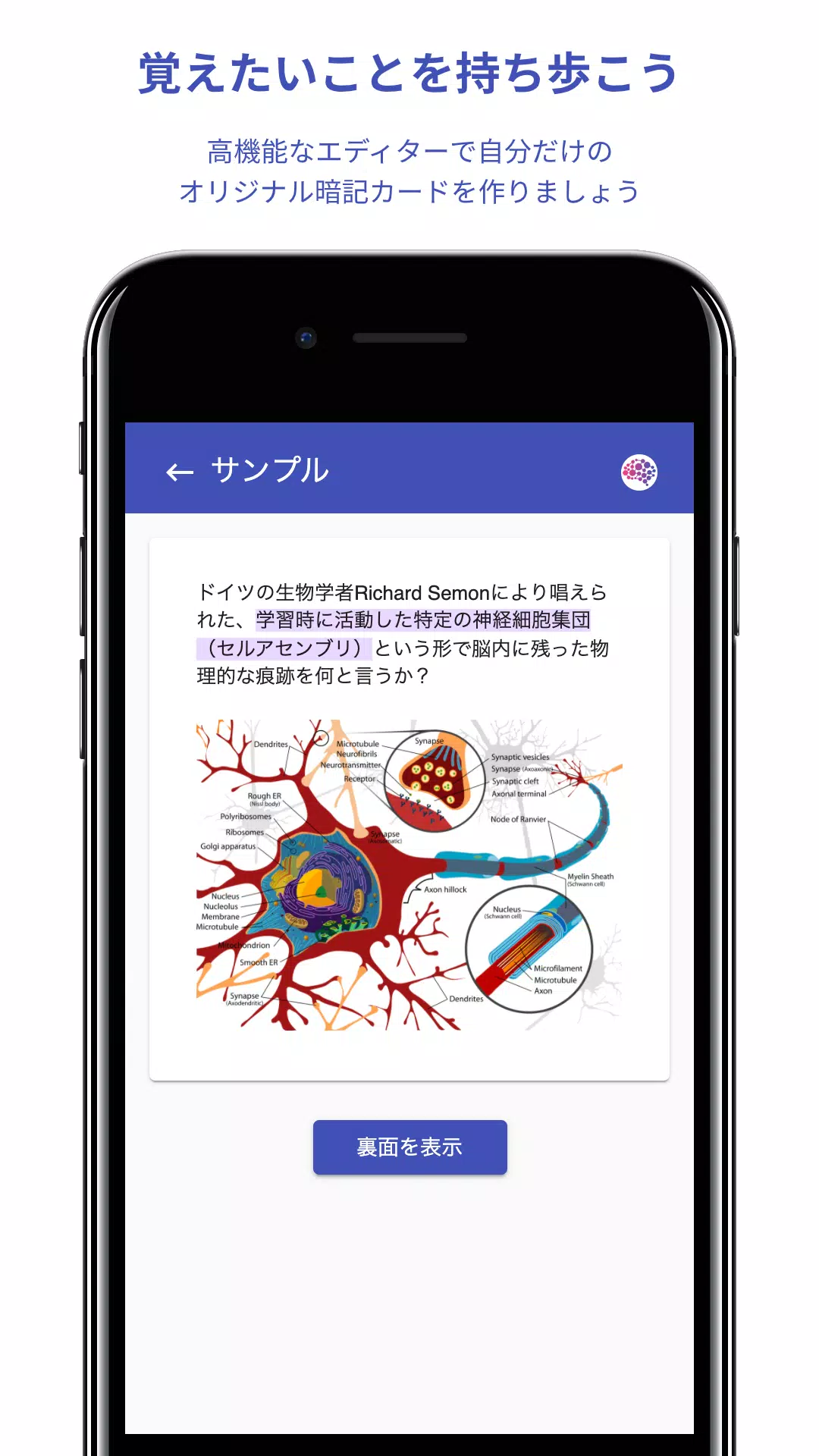 忘却曲線を可視化 Engram 暗記カードアプリ For Android Apk Download