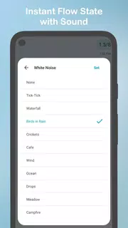 Engross: ADHD Focus Timer