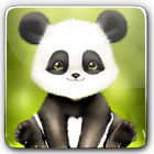 Panda Bobble Head Wallpaper أيقونة