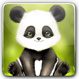 Panda Bobble Head Fond d'écran icône