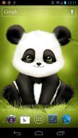 Panda Bobble Head Wallpaper الملصق