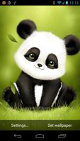 Panda Bobble Head Wallpaper تصوير الشاشة 2