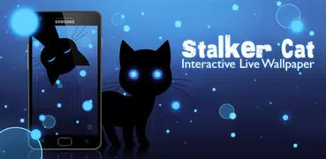 Sneaky Cat Wallpaper Live