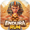 Endura Run icon