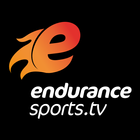 endurance アイコン