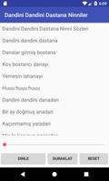 Dandini Dandini Dastana Ninniler poster