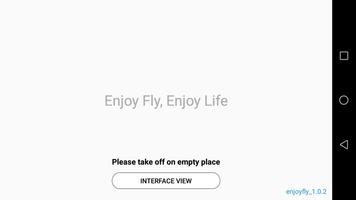 Enjoy-Fly Plakat