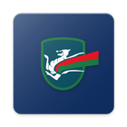 Terni League icon
