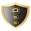 Overview Supervisor