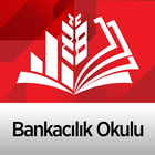 Bankacılık Okulu ไอคอน