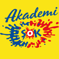 Akademi Şok