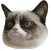 Funny Face Memes WAStickers