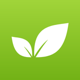 Enmarket simgesi