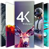 Netchy-wallpapers 4k-HD