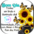 bom dia amor, boa tarde e boa 