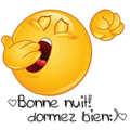 Bonjour et Bonsoir et Bonne nu