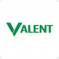 Valent