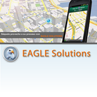 Eagle Solutions icône