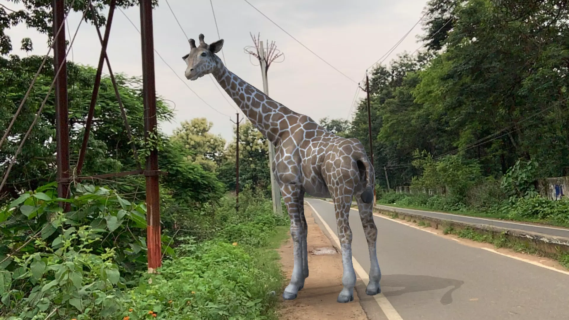 ANIMAIS EM 3D REALIDADE AUMENTADA, GRÁTIS