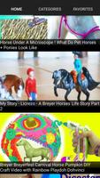 Honey hearts C: Super fun family friendly Videos ảnh chụp màn hình 1