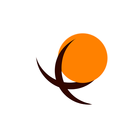 Enterprise Solutions Inc. आइकन
