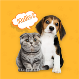Dog & Cat Translator Prank App icône